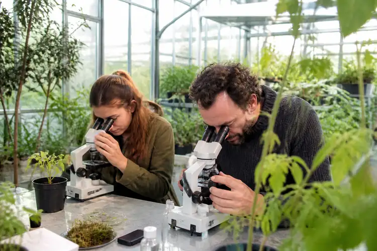 Botanische educatie wetenschap