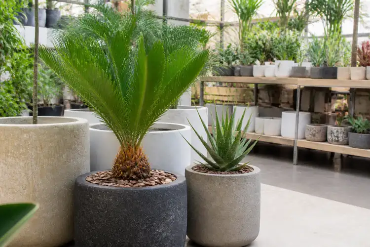 Design bloempotten en planters