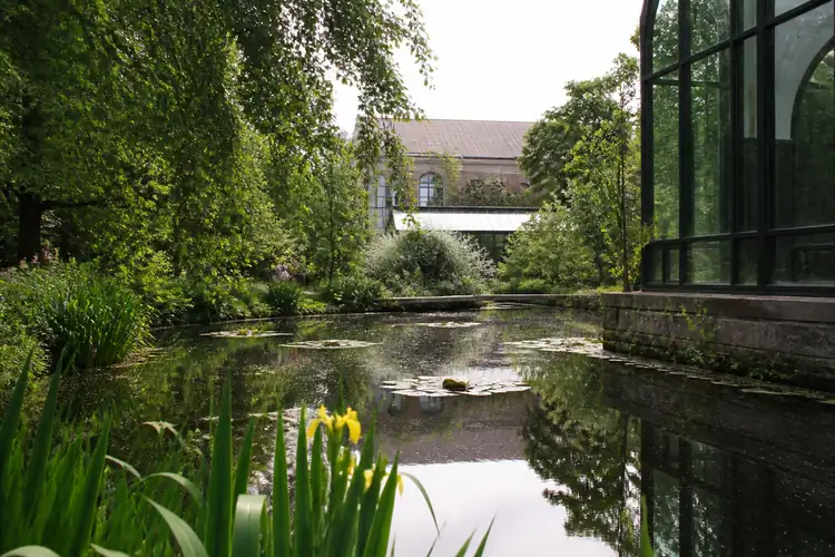 Luxe vijvers waterpartijen